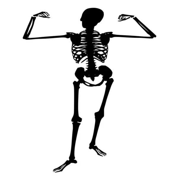 Silueta Vectorial Esqueleto Sobre Fondo Blanco — Archivo Imágenes Vectoriales