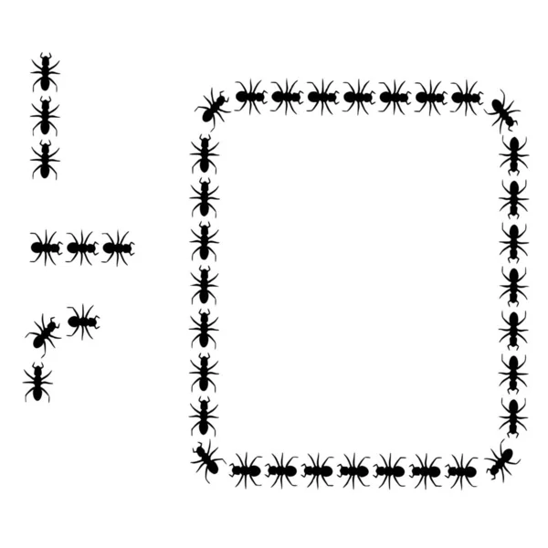白色背景下蚂蚁的矢量轮廓 — 图库矢量图片
