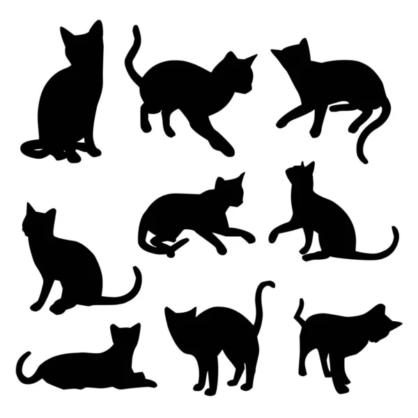 ปแบบเวกเตอร ของแมวบนพ นหล ขาว — ภาพเวกเตอร์สต็อก