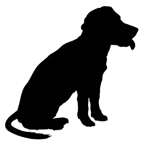Διάνυσμα Σιλουέτα Του Σκύλου Λευκό Φόντο — Διανυσματικό Αρχείο