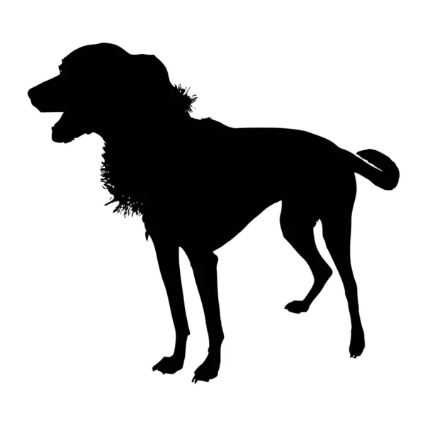 Silueta Vectorial Perro Sobre Fondo Blanco — Vector de stock