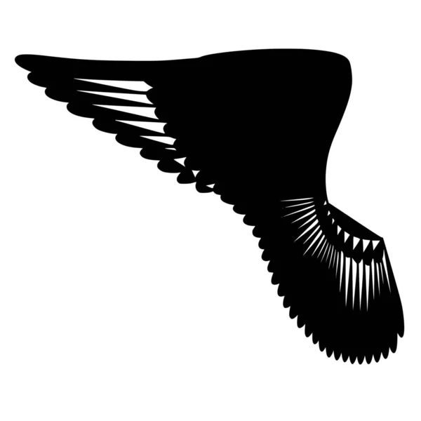 白い背景に羽のベクトルシルエット — ストックベクタ