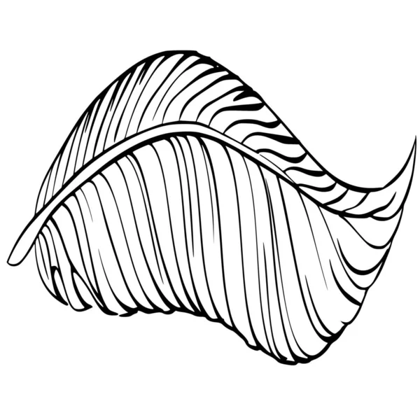 Vector Σιλουέτα Των Φτερών Λευκό Φόντο — Διανυσματικό Αρχείο