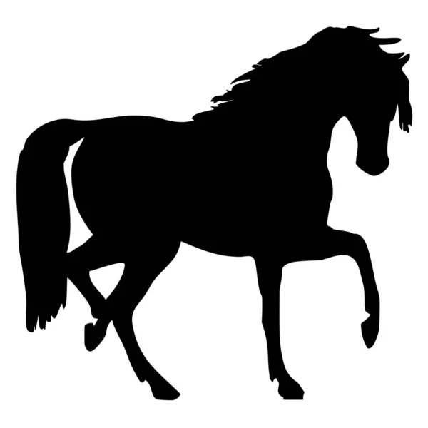 Διάνυσμα Σιλουέτα Του Άλογο Άσπρο Φόντο — Διανυσματικό Αρχείο