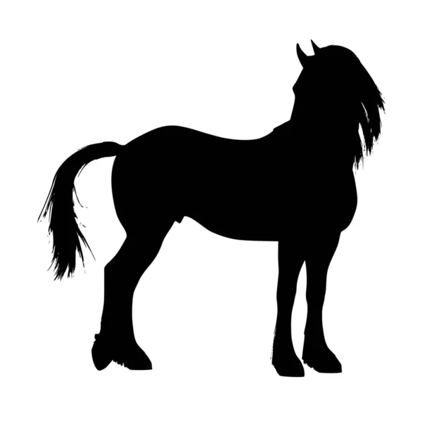 Sílhueta Vetorial Cavalo Sobre Fundo Branco — Vetor de Stock