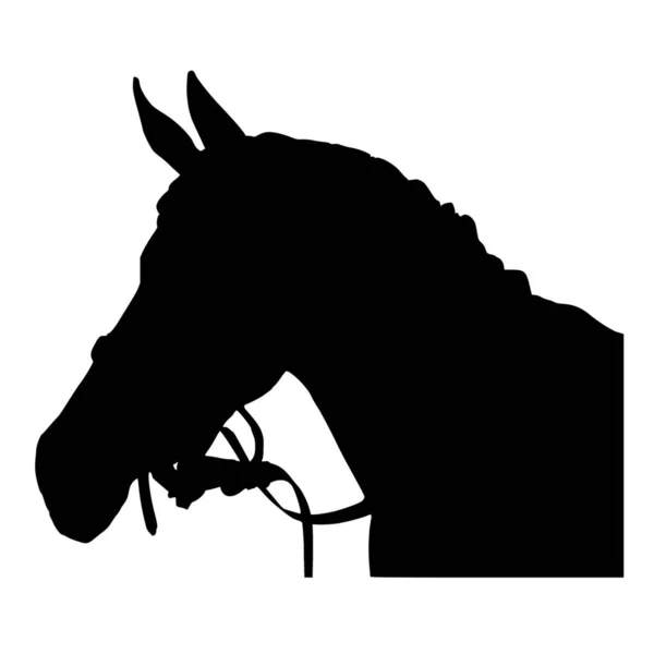 白い背景の上の馬のベクトル シルエット — ストックベクタ
