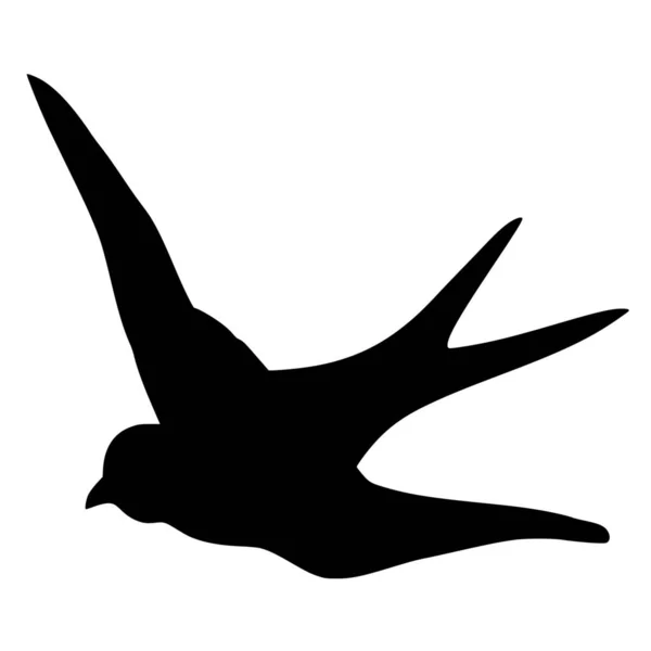 Silueta Vectorial Pájaro Sobre Fondo Blanco — Vector de stock