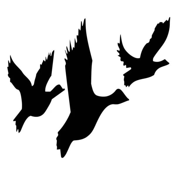 Векторный Силуэт Свободы Птиц Белом Фоне — стоковый вектор