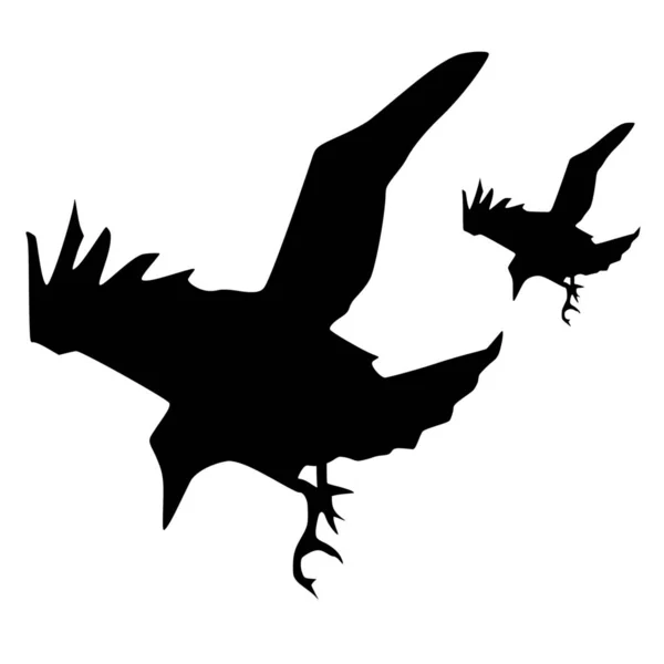 Vector Silhouette Birds Freedom White Background — Stock Vector