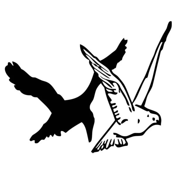 Векторный Силуэт Свободы Птиц Белом Фоне — стоковый вектор