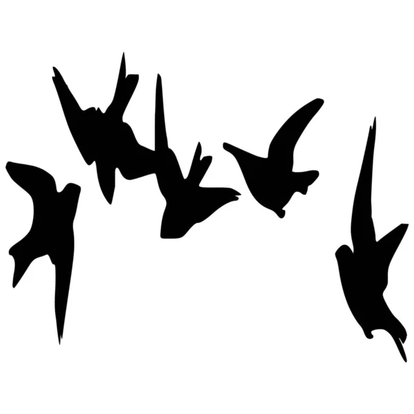 Διάνυσμα Σιλουέτα Της Ελευθερίας Των Πτηνών Λευκό Φόντο — Διανυσματικό Αρχείο