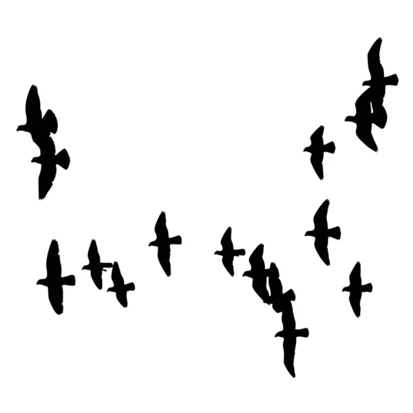 白い背景に鳥の自由のベクトルシルエット — ストックベクタ