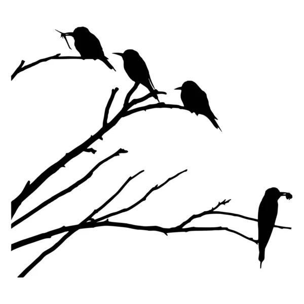 Vektor Silhouette Von Vögeln Freiheit Auf Weißem Hintergrund — Stockvektor