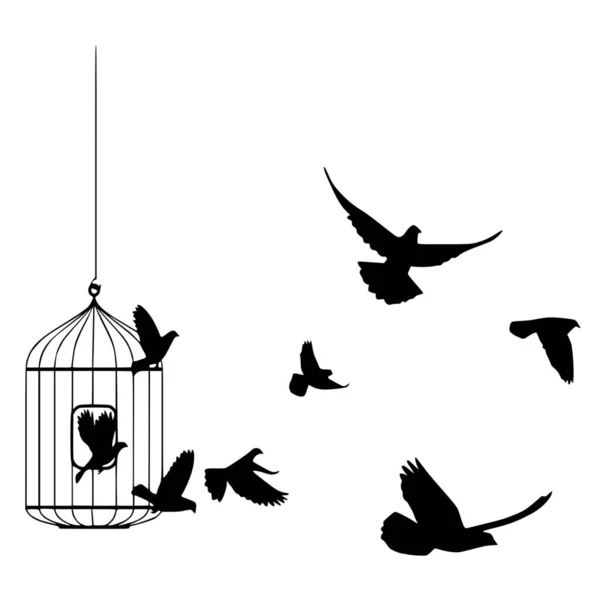 Silhouette Vettoriale Della Libertà Degli Uccelli Sfondo Bianco — Vettoriale Stock