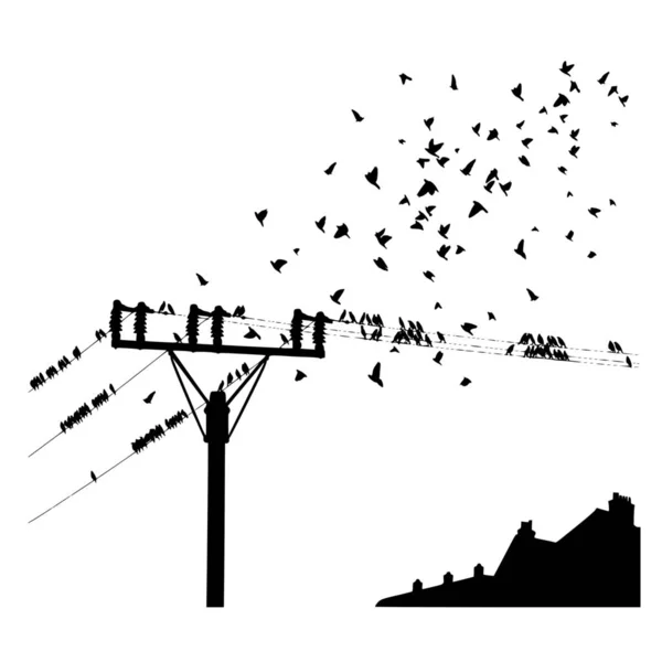 Vektor Silhouette Von Vögeln Freiheit Auf Weißem Hintergrund Stockillustration