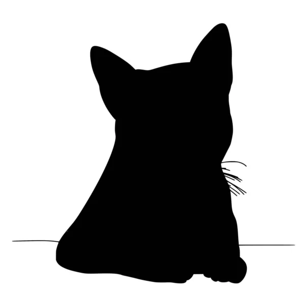 Vector Silhouette Cat White Background — Stock Vector