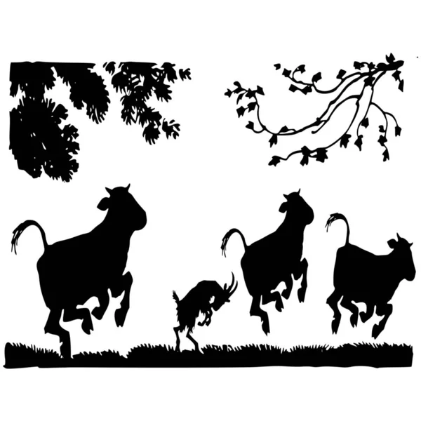 stock vector Vector silhouette of cow on white background