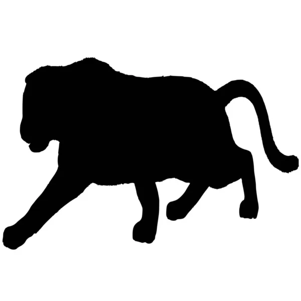 Vektor Silhouette Des Panther Auf Weißem Hintergrund — Stockvektor