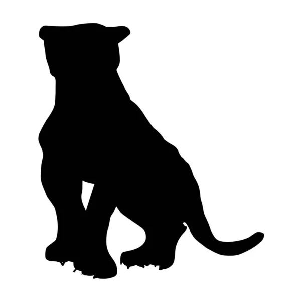 เวกเตอร เอทของ Panther บนพ นหล ขาว — ภาพเวกเตอร์สต็อก