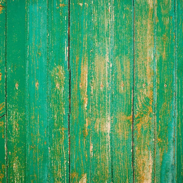 Green Wood Background Digital Paper