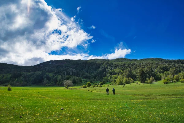 Two people walking in the distance in the middle of a meadow in San Martin de Los Andes, Neuquen. Patagonia Argentina. High quality photo