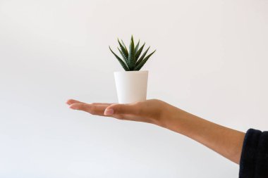 Evde plastik bir bitki tutan genç bir kadının yakın çekimi..