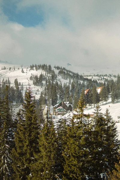 Karla Kaplı Ağaçlarla Kaplı Kış Manzarası — Stok fotoğraf