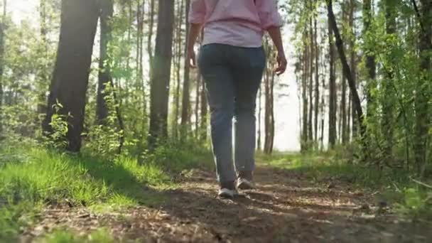 Close Female Legs Walking Forest Girl Walk Nature Sunset High — Stock Video