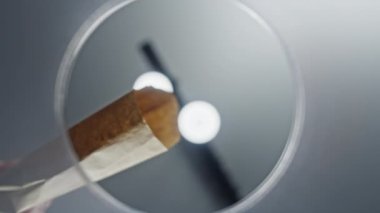 Bir cam kaseye çay dökerken çekilmiş yavaş çekim videosu. Kokulu Seylan yeşil çayı bir konteynıra dökülür..