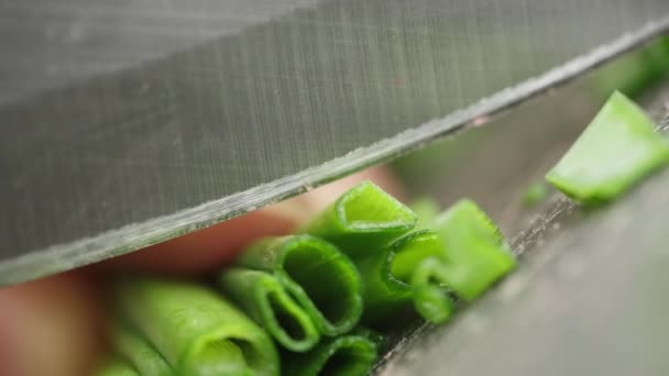 Slow Motion Close Video Slicing Green Onions Board Knife Preparation — Stock Video
