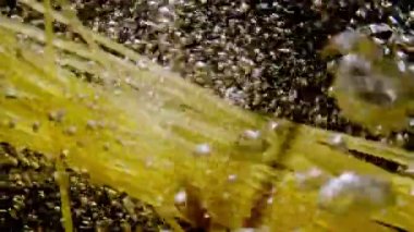 Makarnanın kaynayan suya atıldığı yavaş çekim videosu. Mutfakta makarna pişiriyorum. Yüksek kalite 4k görüntü