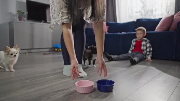 Kvinna Matar Hundar Hemma Med Nävar Lycklig Familj Med Husdjur — Stockvideo