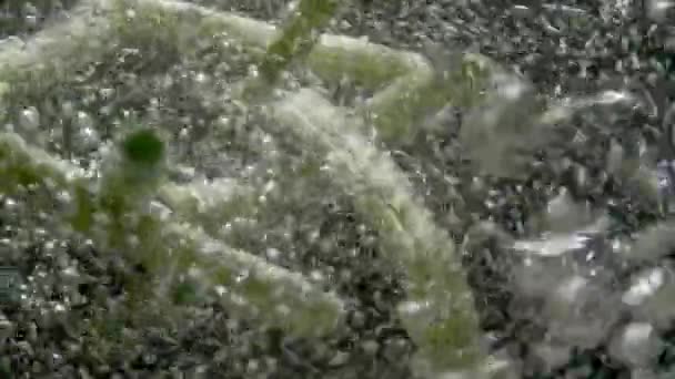 Latar Belakang Gerak Lambat Video Asparagus Sedang Dimasak Dalam Air — Stok Video