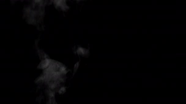 背景黒い背景に煙のスローモーションビデオ 光で美しく照らされた上に蒸気が立ち上がります 高品質4K映像 — ストック動画