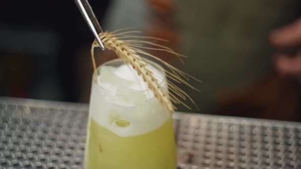 Närbild Bartender Händer Dekorera Cocktail Beredning Alkoholhaltiga Drycker Professionell Baren — Stockvideo