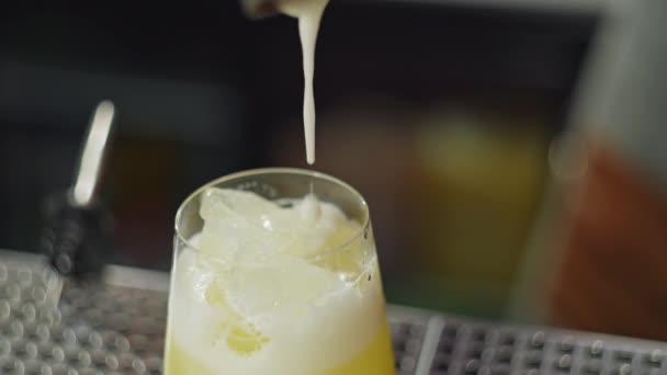Video Rallentatore Versare Cocktail Pronto Uno Shaker Bicchiere Professione Barista — Video Stock
