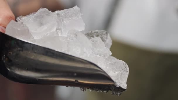 Медленное Видео Бармен Льёт Лёд Стакан Процесс Приготовления Коктейлей Баре — стоковое видео