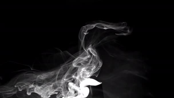 Abstract Video White Smoke Black Background Smoke Forms Clouds High — Stock video