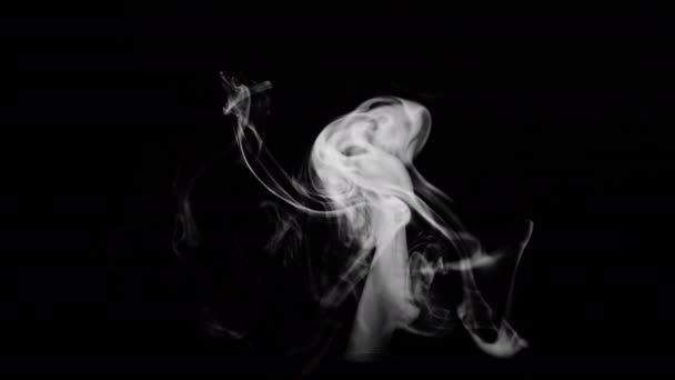Abstract Video Thin Stream White Smoke Black Background Beautiful Video — Wideo stockowe
