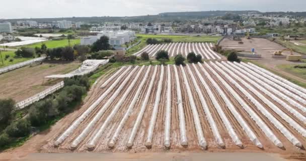 从空中俯瞰田野中的农业温室 在种植园种植有机蔬菜和水果 农作物 高质量的4K镜头 — 图库视频影像