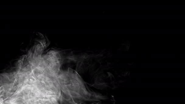 Abstract Background Video White Smoke Black Background Slow Motion Video — Stock video