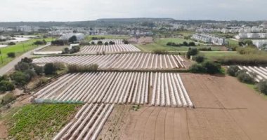 Aerial view of growing vegetables in greenhouses on plantations. Agricultural fields. Greenhouses where organic eco fruits grow. High quality 4k footage