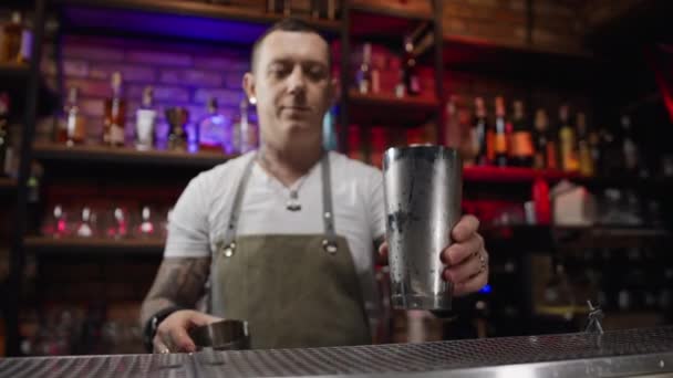 Bartender Profession Professional Bartender Prepares Cocktails Help Shakers Bar Preparing — Vídeo de stock