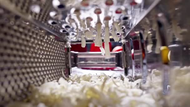 パスタやピザのためのすりおろしたチーズのスローモーションのクローズアップビデオ 墓の真ん中から撃たれた 料理人は料理の材料を用意する 高品質4K映像 — ストック動画