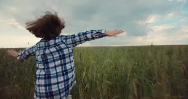 一个快乐的孩子已经融化了双手 正在穿过田野 那女孩在绿草上奔跑 家庭幸福和自由的概念 高质量的4K镜头 — 图库视频影像