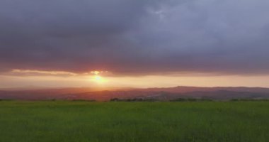 Aerial view agricultural field at sunset. Beautiful landscape of nature in sunlight, green grass. High quality 4k footage