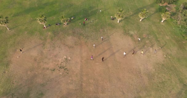 空中看到孩子们在草地上踢足球 熟睡的男孩和女孩带着一个球在公园里跑来跑去 高质量的4K镜头 — 图库视频影像