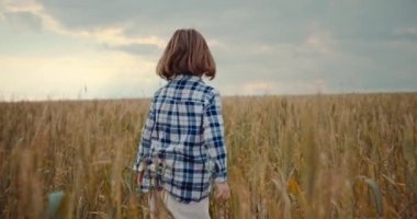 A beautiful child, a girl, walks alone in the field. A feeling of freedom and a happy childhood. Close-up of a child in nature. High quality 4k footage