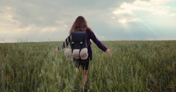 Женщина Походе Рюкзаком Зеленом Поле Мечтательная Девушка Ходит Природе Чувствует — стоковое видео