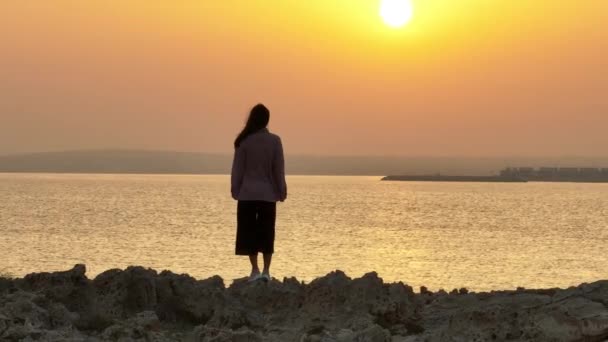 Widok Powietrza Samotną Dziewczynę Plaży Zachodzie Słońca Koncepcja Kobiecych Marzeń — Wideo stockowe